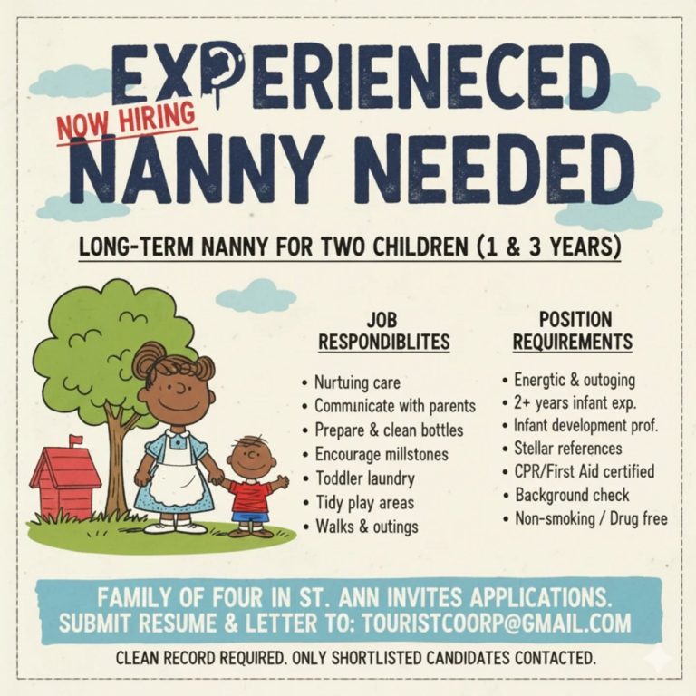 Experienced Nanny Needed – Long-Term Position