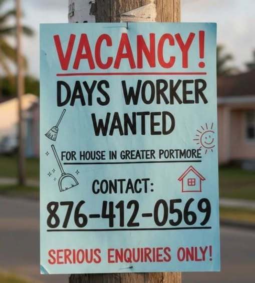 Professional Delivery Riders Needed – Local Area