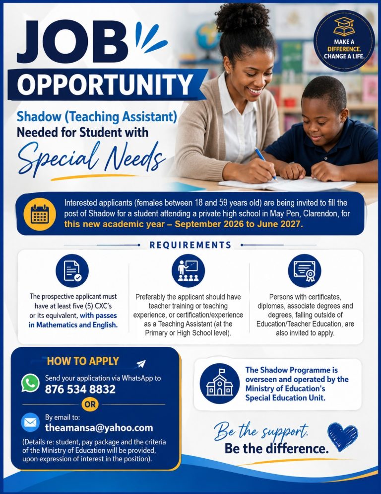 Job Opportunity Shadow (Teaching Assistant) Needed for Student with Special Needs