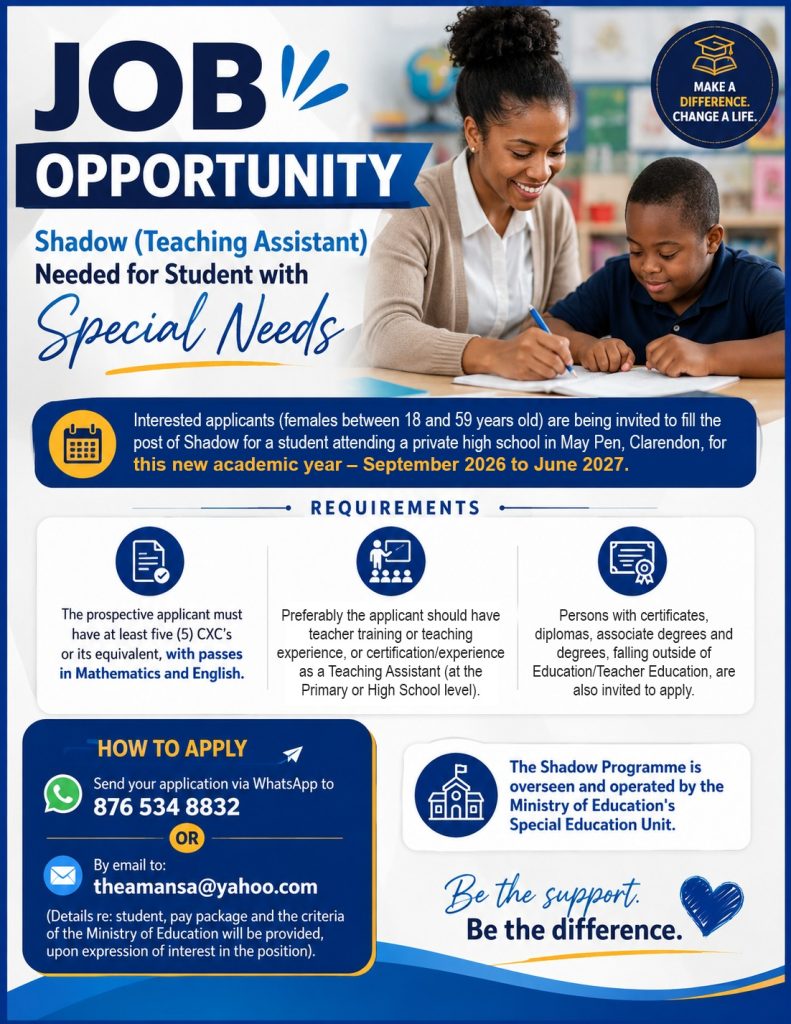 Job Opportunity Shadow (Teaching Assistant) Needed for Student with Special Needs