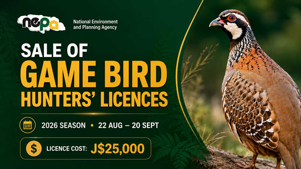 NEPA Bird Hunters’ Licences 2026 Jamaica – Locations & Dates