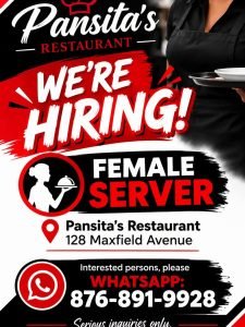 Job advertisement: Female Server Vacancy at Pansita’s Restaurant