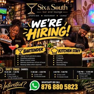 Job advertisement: Bartender & Kitchen Staff Vacancies – Six & South