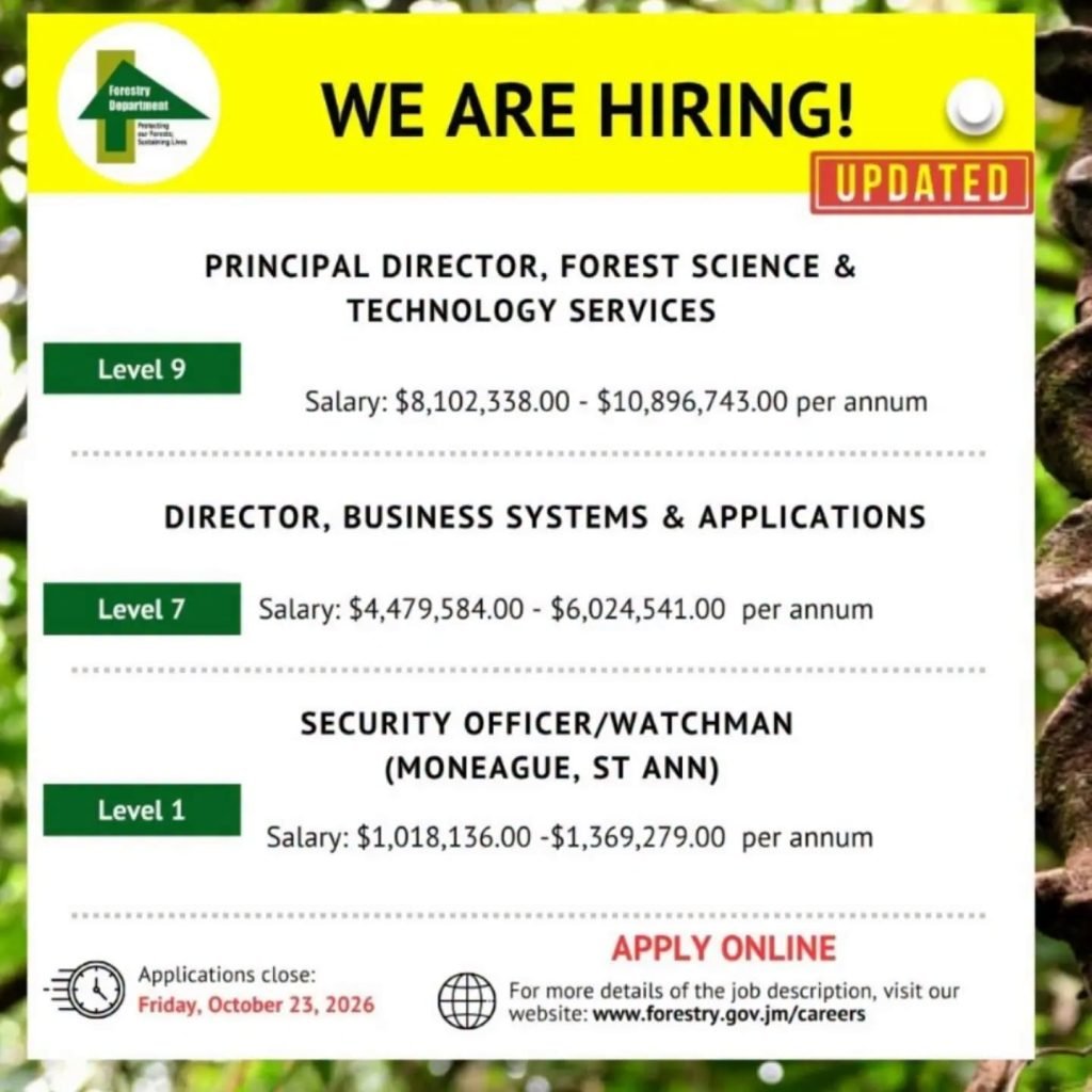 Job advertisement: Forestry Department Jamaica Hiring – Director, IT Director & Security Officer Vacancies | Salaries Up to J$10.8 Million