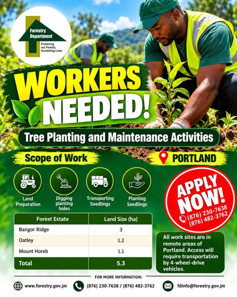 Forestry Department tree planting and maintenance workers needed in Portland