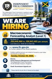 Job advertisement: Government Job in Jamaica: Macroeconomic Forecasting Analyst Vacancy