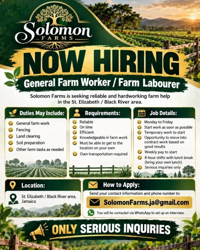 General Farm Worker / Farm Labourer Job – Solomon Farms, St. Elizabeth. Apply by email to SolomonFarms.ja@gmail.com.